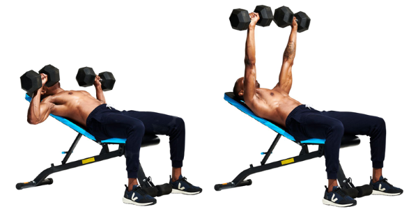 Incline Dumbbell Bench Press - đẩy tạ đòn trên ghế nghiêng