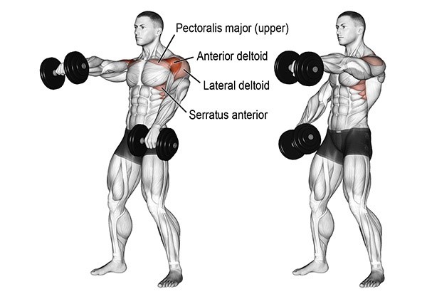 Front Raise - nâng tạ trước