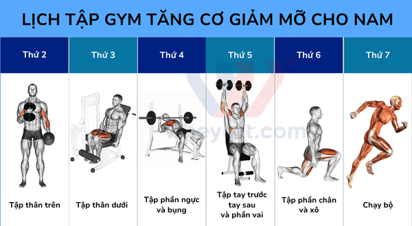 Lịch tập Gym 6 buổi 1 tuần cho nam tăng cơ giảm mỡ