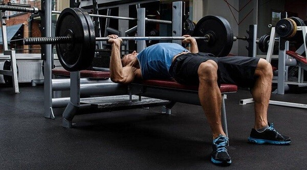 Bench Press - đẩy tạ đòn