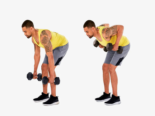 Bài tập Bent Over Dumbbell Row