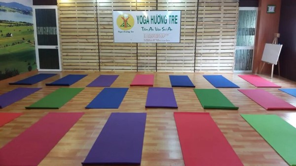 Yoga Hương Tre là địa chỉ uy tín học Yoga Bình Tân