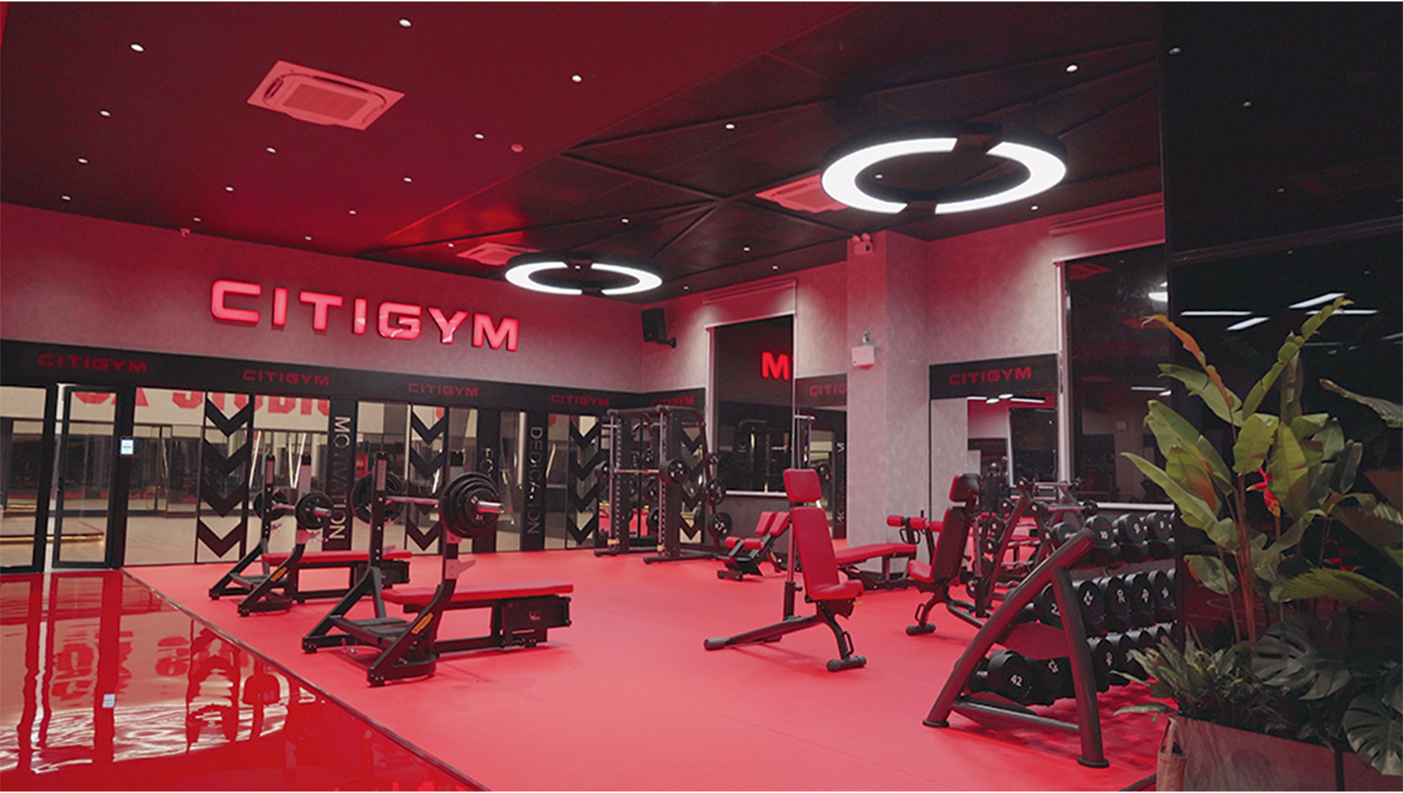 Citigym