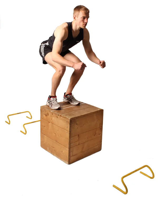 Box Jumps (Nhảy lên hộp)