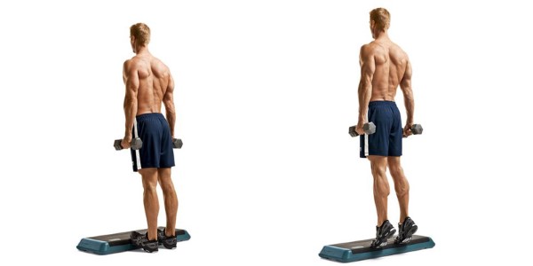 Calf Raises (Nâng gót chân) với tạ