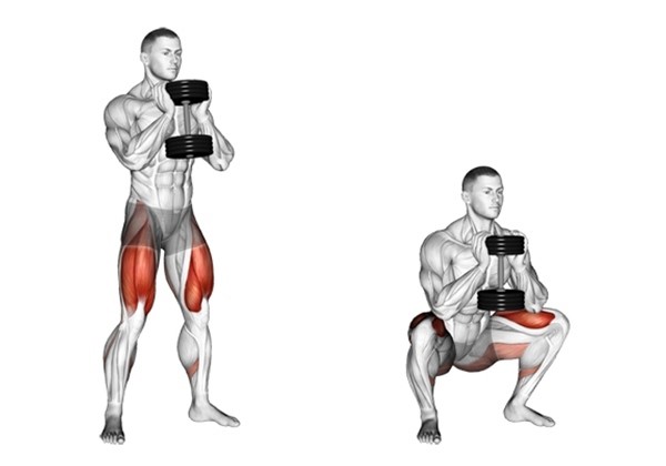 Squats là 1 trong các bài tập chân tại phòng gym cơ bản nhất