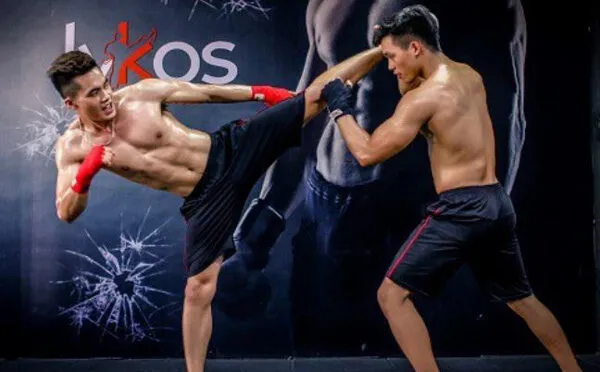 Lykos KickFitness