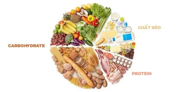 Cân bằng giữa protein, carbohydrate và chất béo