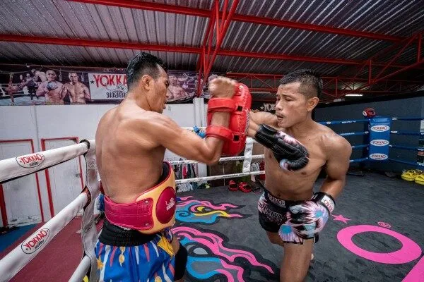 Elbow Strike (Cú đánh cùi chỏ)