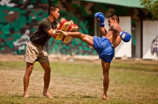 Đá vòng cầu (Roundhouse Kick)