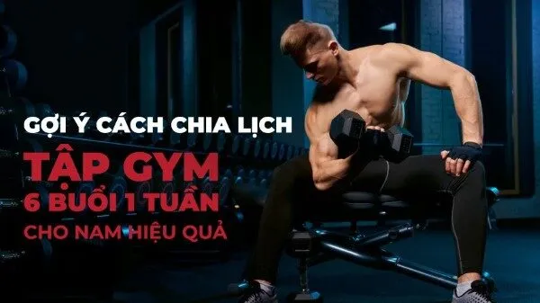 Cách phân chia lịch tập gym 6 buổi 1 tuần hiệu quả