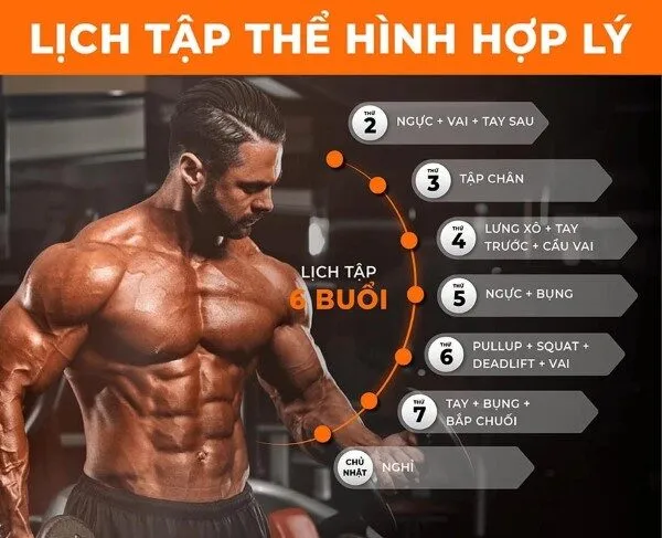 Lịch tập Gym 6 buổi 1 tuần cho nam mới bắt đầu