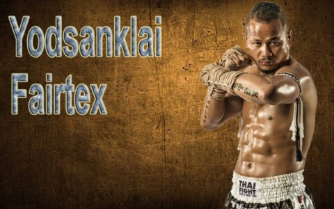 Muay Thái là gì? Tất tần tật về Muay Thái cho người mới