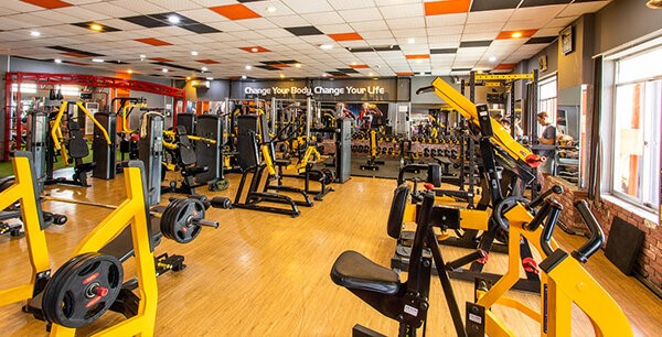 Lio Fitness & Yoga Quận 8