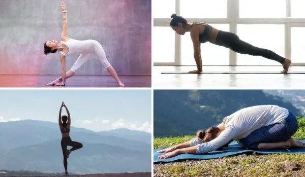 Các tư thế yoga cơ bản cho người mới