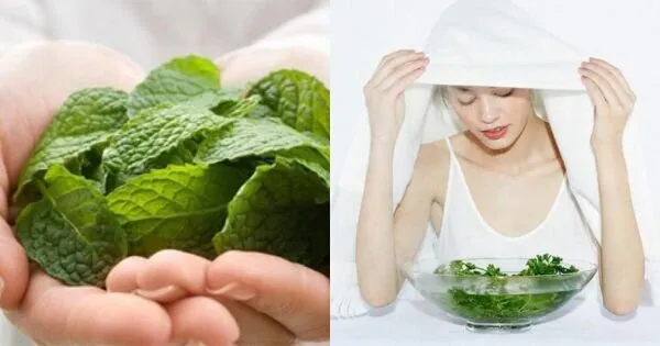 Xông hơi với bạc hà Xông hơi với bạc hà