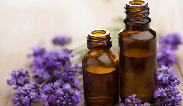 Xông hơi với tinh dầu hoa oải hương Xông hơi với tinh dầu hoa oải hương