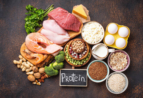 Phân tích vai trò của Protein trong quá trình tăng cơ