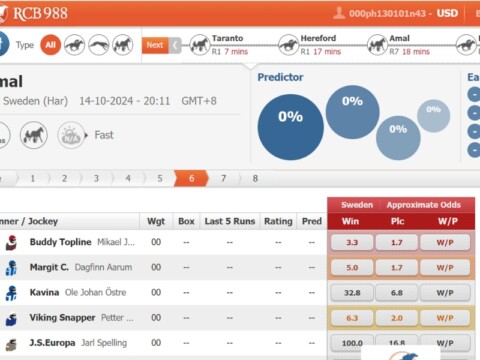 Những cửa đặt trong cách chơi cá cược đua ngựa