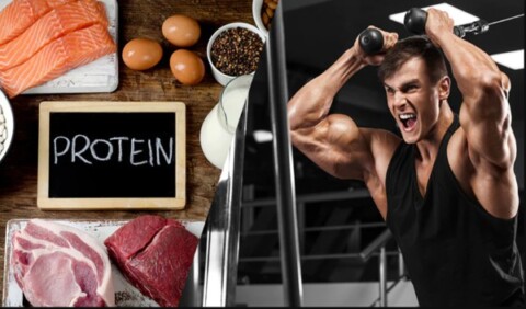 Phân bổ Protein trong ngày cho người tập Gym