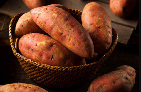 Khoai lang chứa bao nhiêu protein?