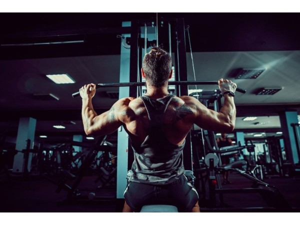 Gợi ý chi tiết bài tập cho từng nhóm cơ Gợi ý chi tiết bài tập cho từng nhóm cơ