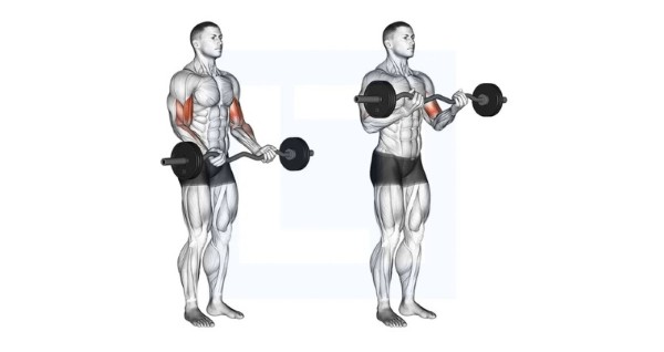 Những nhóm cơ nào được tác động? Những nhóm cơ nào được tác động?