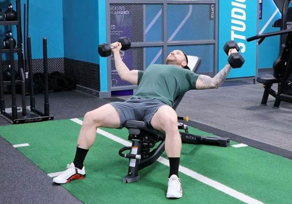 Incline Dumbbell Fly Incline Dumbbell Fly