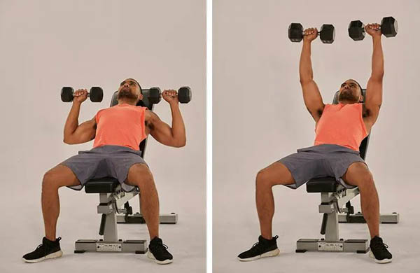 Flat Bench Dumbbell Press Flat Bench Dumbbell Press