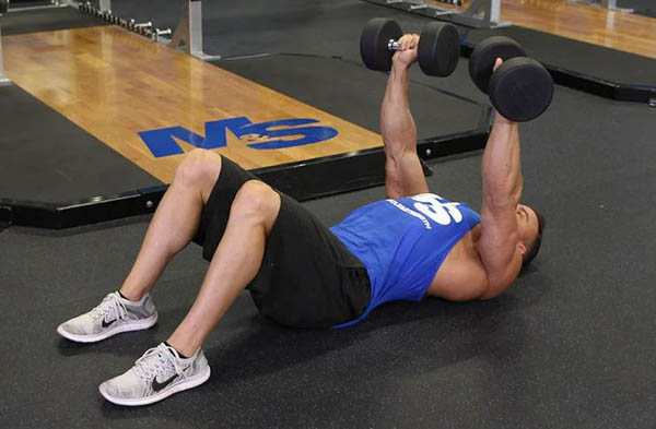 Floor Dumbbell Press Floor Dumbbell Press