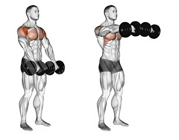 Nâng tạ đơn trước mặt Nâng tạ đơn trước mặt