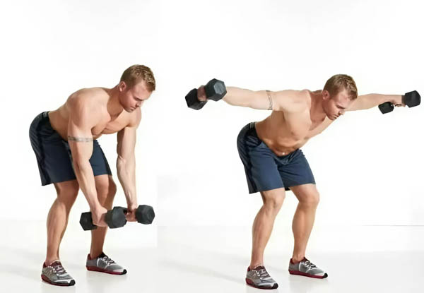 Bent-Over Dumbbell Lateral Raise Bent-Over Dumbbell Lateral Raise