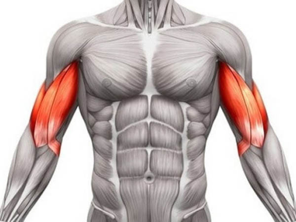 Định nghĩa “Bicep là gì?” Định nghĩa “Bicep là gì?”