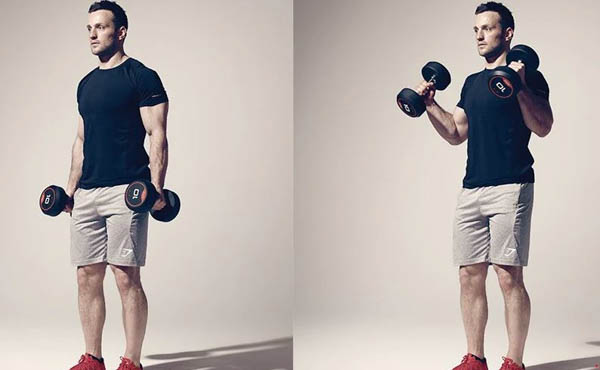 Dumbbell Hammer Curl (cuốn tạ kiểu búa) Dumbbell Hammer Curl (cuốn tạ kiểu búa)