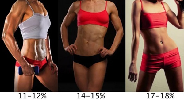 Lợi ích của việc duy trì body fat mass lý tưởng