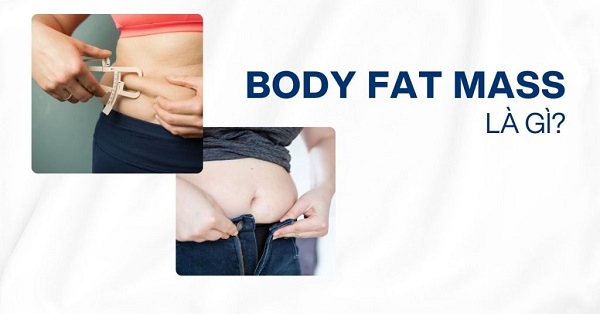 Body Fat Mass là gì