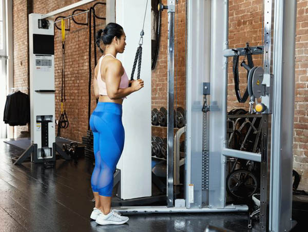 Cable Tricep Pushdown (Kéo cáp dây thừng hoặc thanh chữ V) Cable Tricep Pushdown (Kéo cáp dây thừng hoặc thanh chữ V)